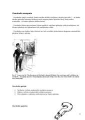 Verslo finansavimo būdai: faktoringas ir overdraftas 11 puslapis