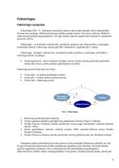 Verslo finansavimo būdai: faktoringas ir overdraftas 4 puslapis