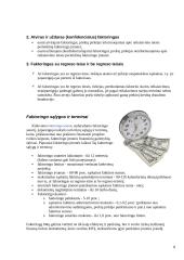 Verslo finansavimo būdai: faktoringas ir overdraftas 8 puslapis