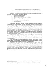 Verslo finansavimo šaltiniai: pliusai bei minusai 2 puslapis