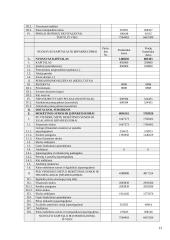 Verslo finansavimo šaltiniai: pliusai bei minusai 13 puslapis