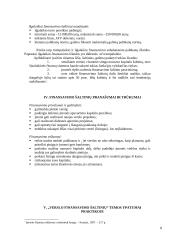 Verslo finansavimo šaltiniai: pliusai bei minusai 8 puslapis