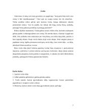 Verslo idėjos aprašymas, gyvybingumas 2 puslapis