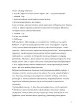 Verslo idėjos aprašymas, gyvybingumas 7 puslapis