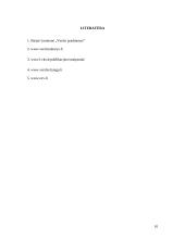 Verslo idėjos aprašymas, gyvybingumas 10 puslapis