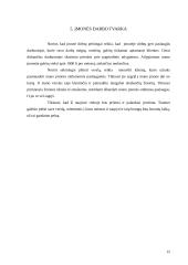 Verslo idėjos gyvybingumo pagrindimas ir jos įgyvendinimas 15 puslapis