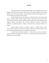 Verslo įmonės išorinės aplinkos strateginė analizė 2 puslapis