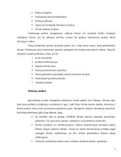 Verslo įmonės išorinės aplinkos strateginė analizė 5 puslapis