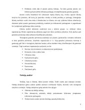 Verslo įmonės išorinės aplinkos strateginė analizė 6 puslapis
