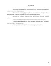 Verslo įmonės išorinės aplinkos strateginė analizė 8 puslapis
