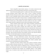 Verslo įmonės, jų valdymo organai ir funkcijos, steigimas ir likvidavimas 16 puslapis