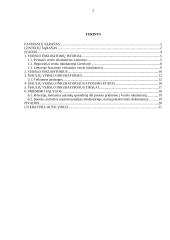 Verslo inkubatoriaus veikla Šiaulių mieste 2 puslapis