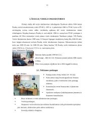 Verslo inkubatoriaus veikla Šiaulių mieste 12 puslapis