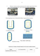 Verslo inkubatoriaus veikla Šiaulių mieste 13 puslapis