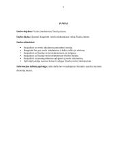 Verslo inkubatoriaus veikla Šiaulių mieste 3 puslapis