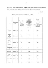 Verslo inkubatoriaus veikla Šiaulių mieste 6 puslapis