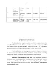 Verslo inkubatoriaus veikla Šiaulių mieste 9 puslapis