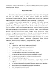 Verslo ir ekonomikos prognozavimas 12 puslapis