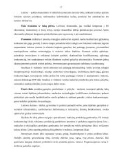 Verslo ir ekonomikos prognozavimas 16 puslapis