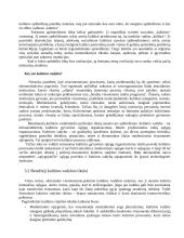 Verslo ir kultūros vadyba. Skirtumai ir panašumai 11 puslapis