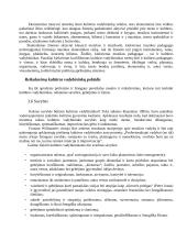 Verslo ir kultūros vadyba. Skirtumai ir panašumai 14 puslapis