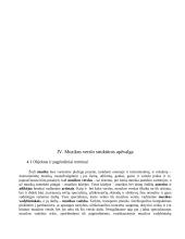 Verslo ir kultūros vadyba. Skirtumai ir panašumai 16 puslapis