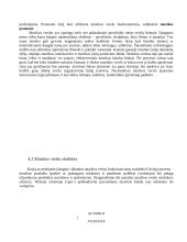 Verslo ir kultūros vadyba. Skirtumai ir panašumai 17 puslapis