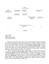 Verslo ir kultūros vadyba. Skirtumai ir panašumai 18 puslapis