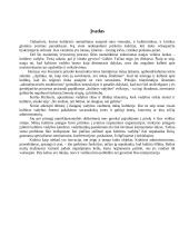 Verslo ir kultūros vadyba. Skirtumai ir panašumai 3 puslapis