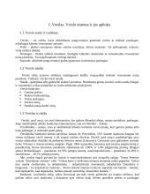 Verslo ir kultūros vadyba. Skirtumai ir panašumai 4 puslapis