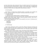 Verslo ir kultūros vadyba. Skirtumai ir panašumai 5 puslapis