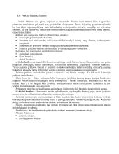 Verslo ir kultūros vadyba. Skirtumai ir panašumai 6 puslapis