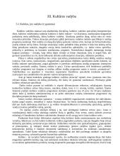 Verslo ir kultūros vadyba. Skirtumai ir panašumai 10 puslapis