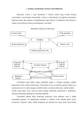 Verslo kūrimo ypatumai 2 puslapis