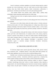 Verslo kūrimo ypatumai 12 puslapis