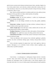 Verslo kūrimo ypatumai 13 puslapis