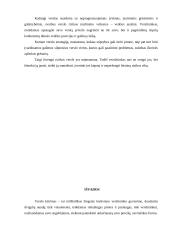 Verslo kūrimo ypatumai 15 puslapis