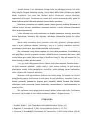 Verslo kūrimo ypatumai 16 puslapis