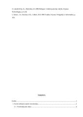 Verslo kūrimo ypatumai 17 puslapis