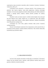 Verslo kūrimo ypatumai 3 puslapis