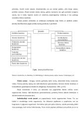 Verslo kūrimo ypatumai 5 puslapis