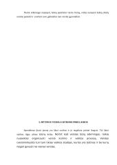 Verslo kūrimo ypatumai 7 puslapis