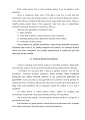 Verslo kūrimo ypatumai 8 puslapis