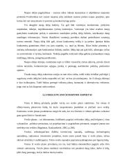 Verslo kūrimo ypatumai 9 puslapis