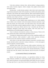 Verslo kūrimo ypatumai 10 puslapis