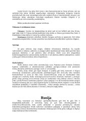 Verslo moralinės vertybės Baltijos regione 3 puslapis