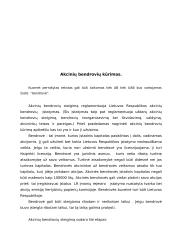 Akcinių bendrovių steigimas ir akcijų platinimas 3 puslapis