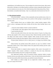 Verslo organizavimo formos bei rūšys 10 puslapis