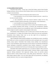 Verslo organizavimo formos bei rūšys 11 puslapis