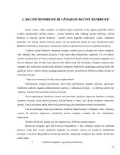 Verslo organizavimo formos bei rūšys 12 puslapis